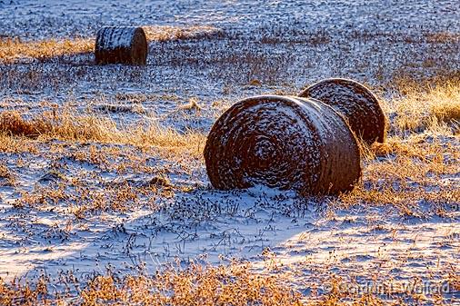 Frosty Bales_03158.jpg - Photographed at sunrise near Frankville, Ontario, Canada.
